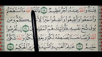 سورة التغابن ١٤_١٨
