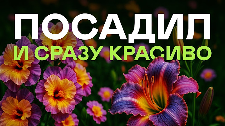 Это Самые Быстрорастущие Многолетники Для Вашего Сада! Посадил И Забыл