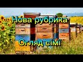 Дивлюся до бжіл ✅ Огляд сімї🐝