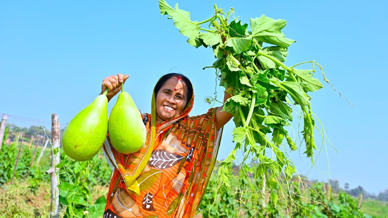 মাঠের টাটকা শাকসবজি তুলে রান্না | ডিম্ দিয়ে টাটকা লাউ রান্না সঙ্গে ঠাকুমার স্বাদের লাউ শাক রান্না