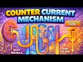 Counter current mechanism. (CCM)