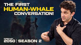 Details Can AI Talk to Whales | Project CETI Founder David Gruber Update