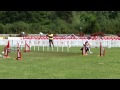 Nicky  roy  wao 2013  agility games snooker  clean run