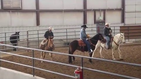 Fixing Herd-Bound Trailer!