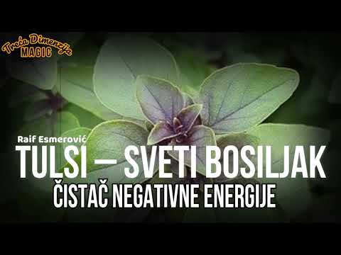 Čistač negativne energije :TULSI