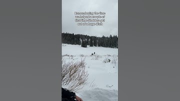 Gotta help em #polaris #skidoo #sledseason