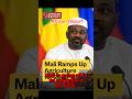 Mali S Bold 2026 Agriculture Plan Will Shock Africa 