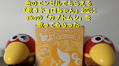 ひとりぼっちのキョロちゃん