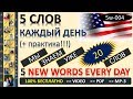 Английский 10 000 слов Английский язык  - 5 слов каждый день (5w-004) Английский с семьей Савченко