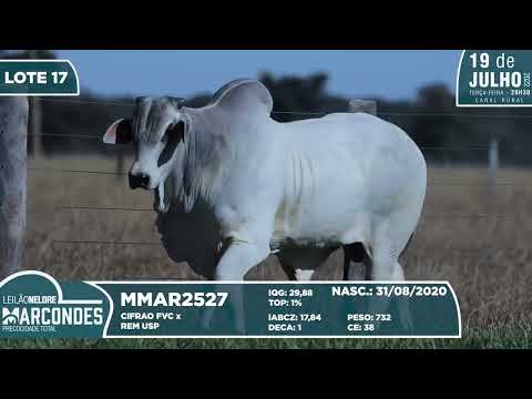 LOTE 17   MMAR 2527