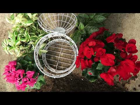 Видео: Висящи кошници с билки: Как да си направим билкова градина в кошница