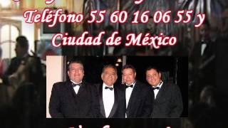 Vuelve a mí de Los Dandys Teléfono 55 54 96 77 81