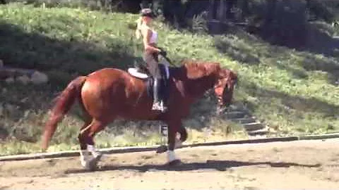 Recognizing back development part one
