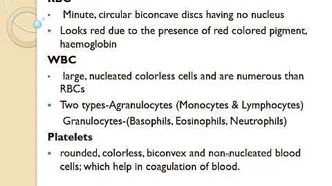 Biology K Selvi - Std X - Life processes - Video 6