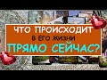 ЧТО ПРОИСХОДИТ В ЕГО ЖИЗНИ ПРЯМО СЕЙЧАС? Таро Онлайн Расклад Diamond Dream Tarot