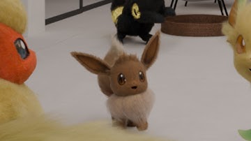 My small EEVEE !