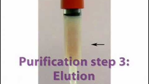 CherryExpress Kit -  Recombinant Protein Expression System