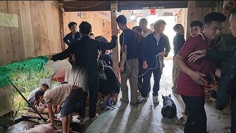 T.ục Cúng Lợn Sống Trong Đ.ám M.a Dân Tộc H