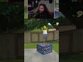 ¿Estúpido y Sensual Flanders? ¡Momentos Cómicos de Los Simpsons! #shorts