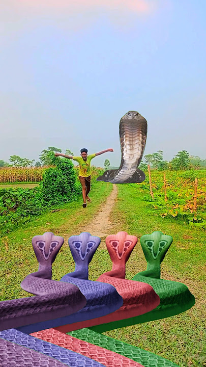 abaro hamara pas snack aya aap aap kya hoga Hara Hara Shambhu