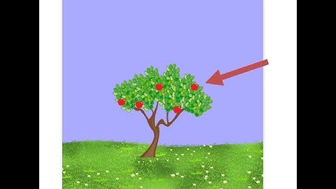 apple-collect game in use Html CSS JavaScript