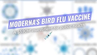 Modernas Bird Flu Vaccine Breakthrough