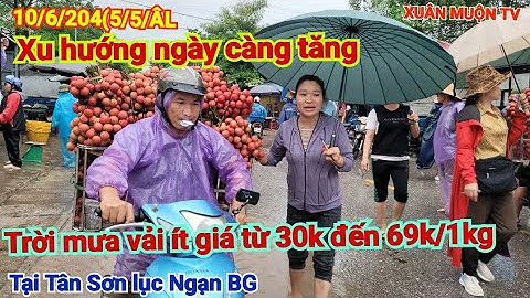 giá vải hôm nay  tại tân Sơn lục Ngạn BG vải gần cuối vụ giữ giá cao