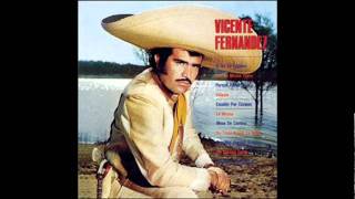 Vicente Fernandez - Volaste. chords