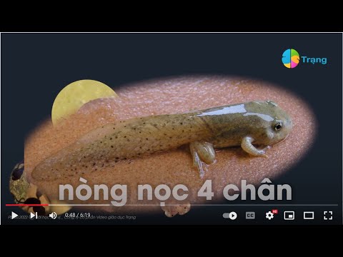 Video: EC ảnh hưởng như thế nào đến sự phát triển của thực vật?