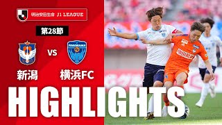 アルビレックス新潟vs横浜ＦＣ J1リーグ 第28節