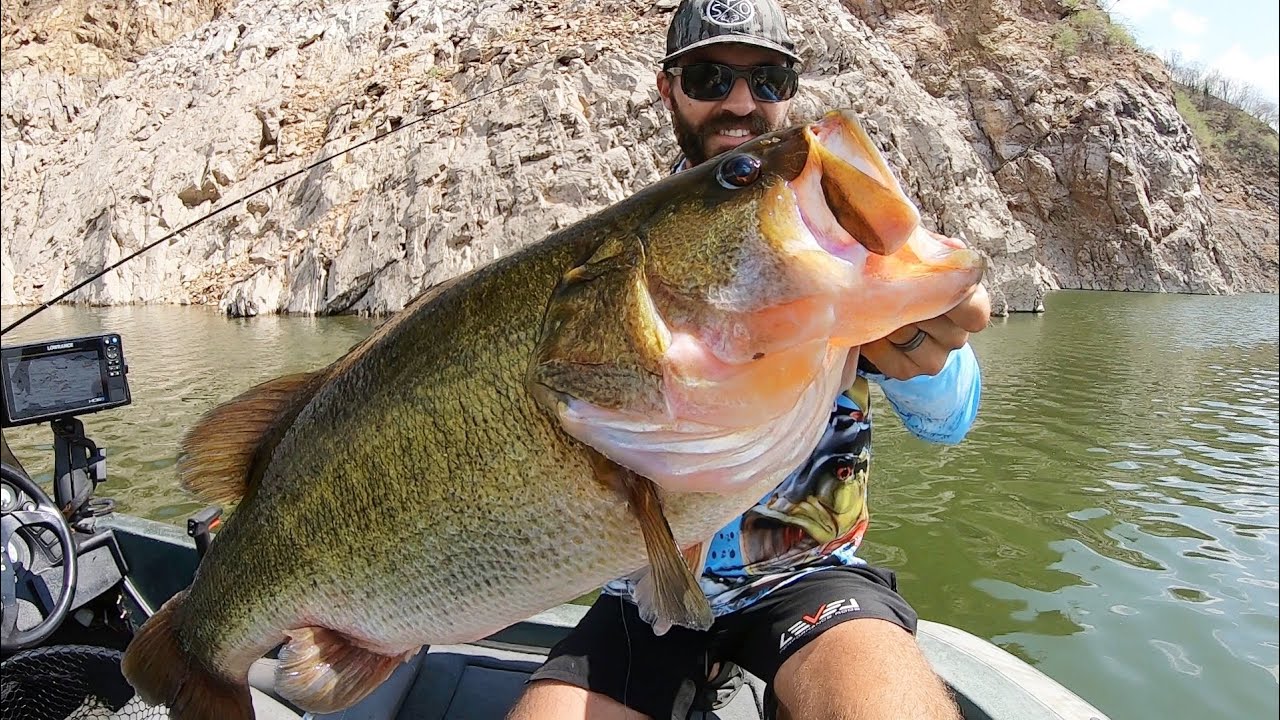 I COULDN’T BELIEVE the WEIGHT OF THIS BASS!