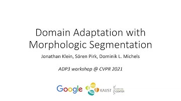 Domain Adaptation with Morphologic Segmentation (ADP3, CVPR 2021) – Conference Presentation