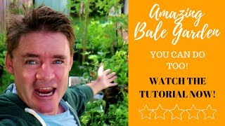 Why Grow Vegetables in Straw Bales Permaculture Method