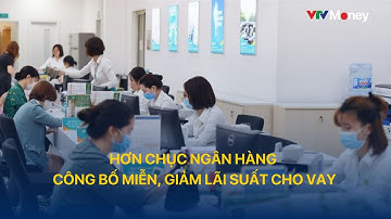 Hơn chục ngân hàng công bố miễn, giảm lãi suất cho vay | VTVMoney