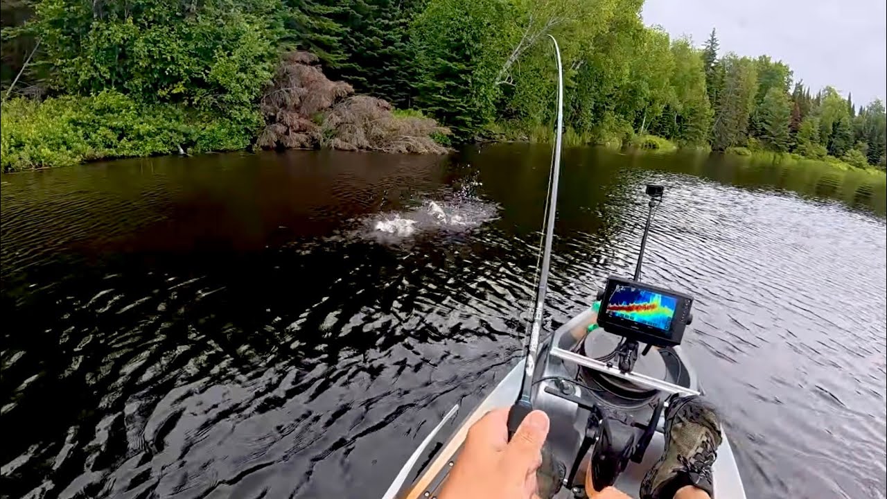 Top Water Smallmouth Bass