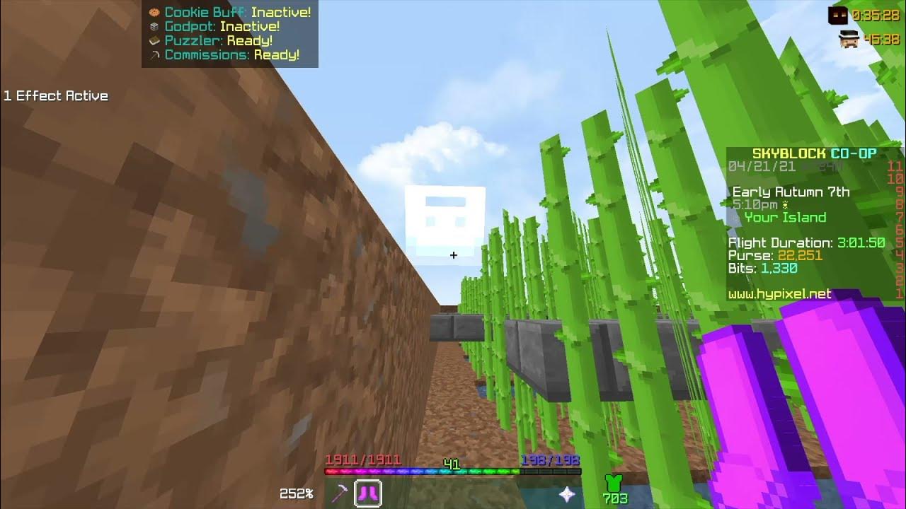 How to Farm Sugarcane Correctly in Hypixel Skyblock! YouTube