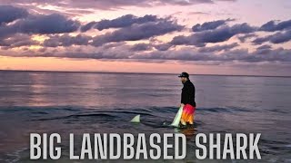 Big Bull Shark Land Based Shark Fishing Caught Off Beach