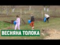 Жителі однієї з громад на Миколаївщині влаштували весняну толоку