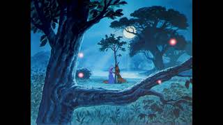 Open-Matte 35Mm Print Robin Hood 1973 Love Goes On Song