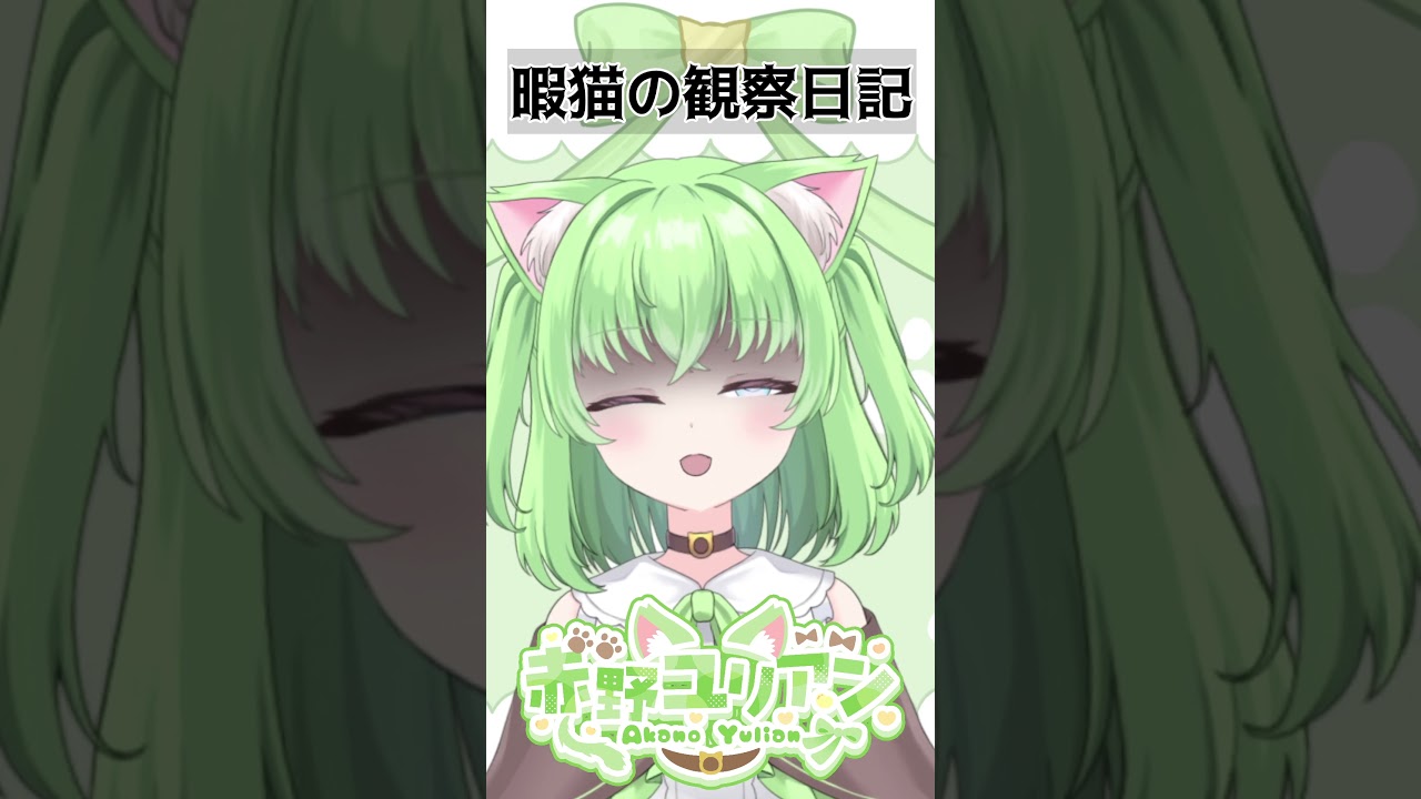 またゲーム音入ってなかった!?全然気付かなかった…|暇猫の観察日記 Vol.46 #shorts