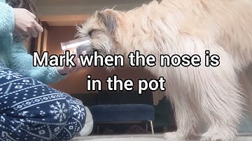 Teaching a passive indication - method two!