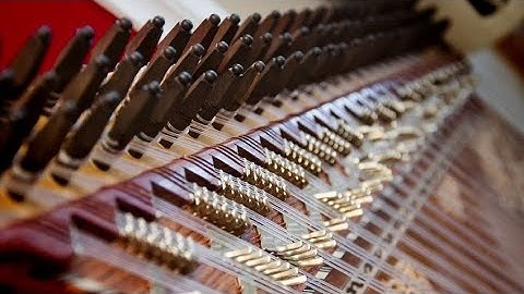 Kanoun KORG (exb moss)