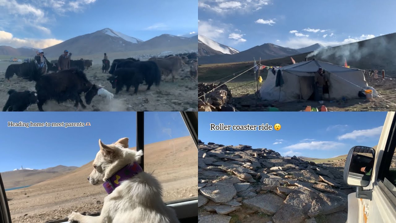 The Most Beautiful Nomadic Place in Ladakh// Must visit //Tsomo Riri