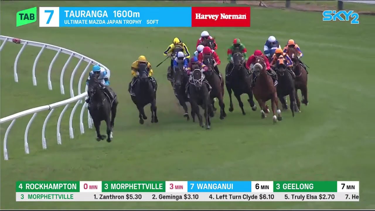 Japan Trophy 2025 - WAITAK (SWP G2) Group 2 Tauranga NZ 15 March