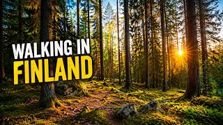 Deep Into Finland's Hidden Fairy Forest : A Meditative Walking In the Forest in the Evening.