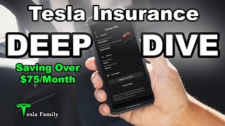 Tesla Insurance & Safety Score 18 Month DEEP DIVE