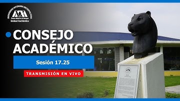 Consejo Académico, SESION 17.25