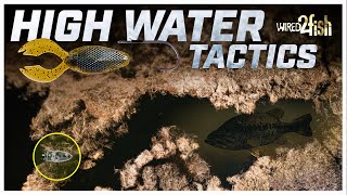 Fishing Bass In Flooded Waters: Top Tips And Tricks!