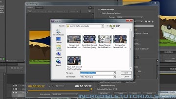 Steve and the Alien: Lesson 8-3: Publishing Your Cartoon