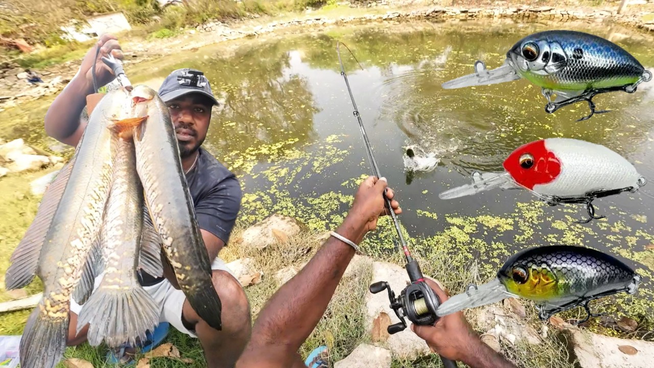 I chose this fishing lure  - back to back strike - Open water fishing ultra light lure #ANTONYinfo